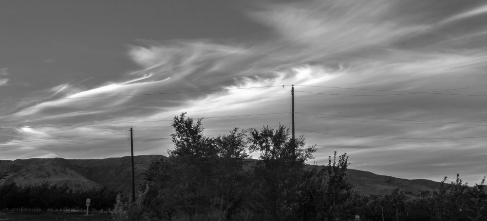 600_7275 (1000x455).jpg