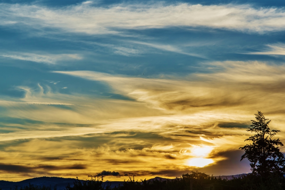 600_7282 (1000x668).jpg