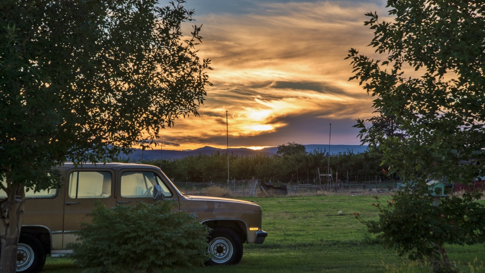 600_7297 (1000x563).jpg