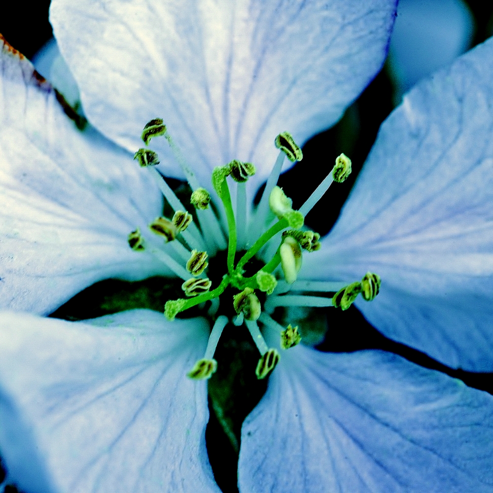 600_8252.jpg
