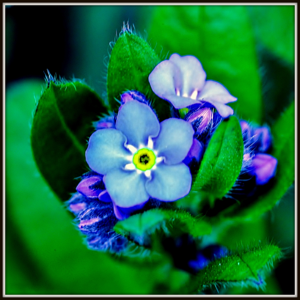 600_8256.jpg
