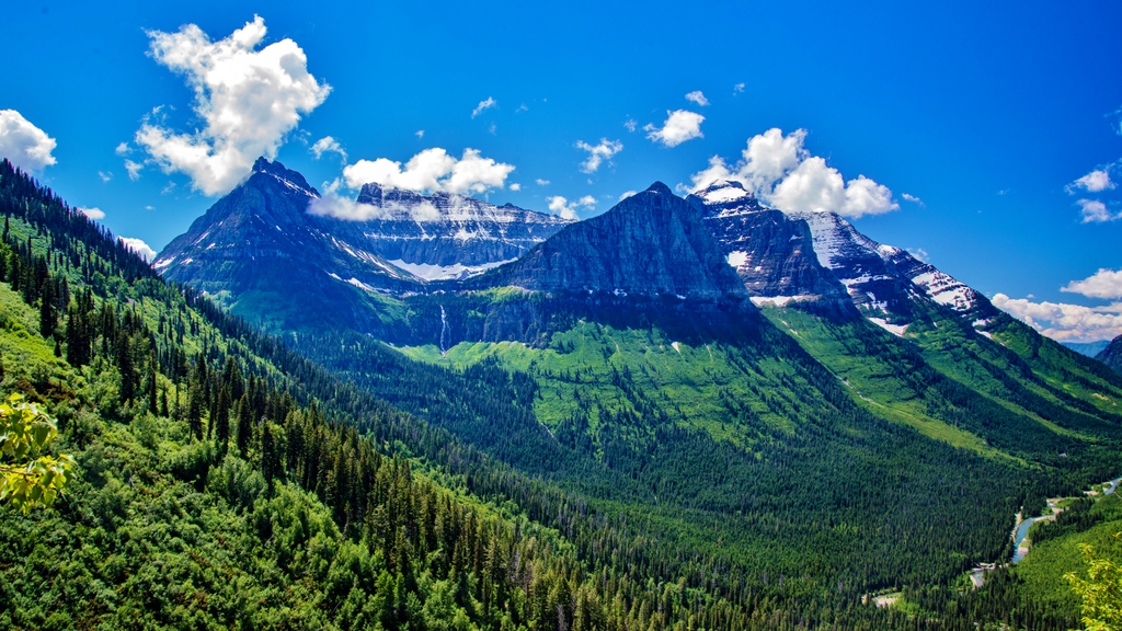 600_8354.jpg
