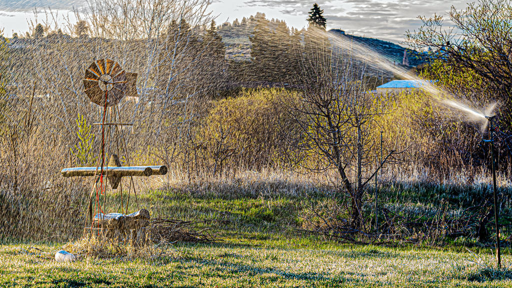 610_0059-Edit.jpg