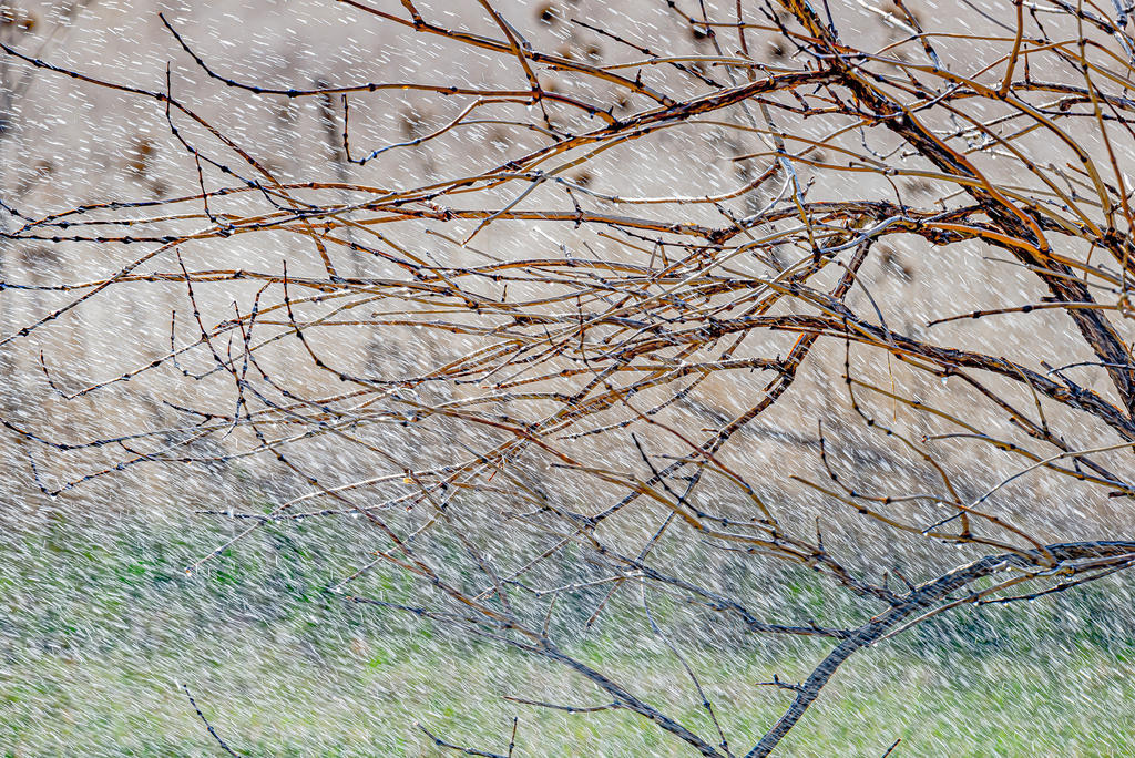 610_0066-Edit.jpg