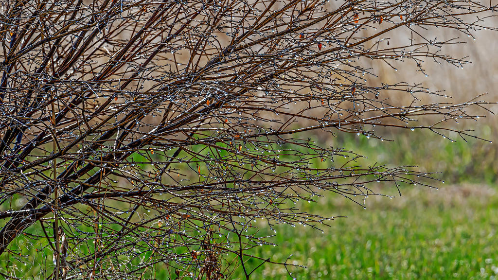 610_0079-Edit.jpg