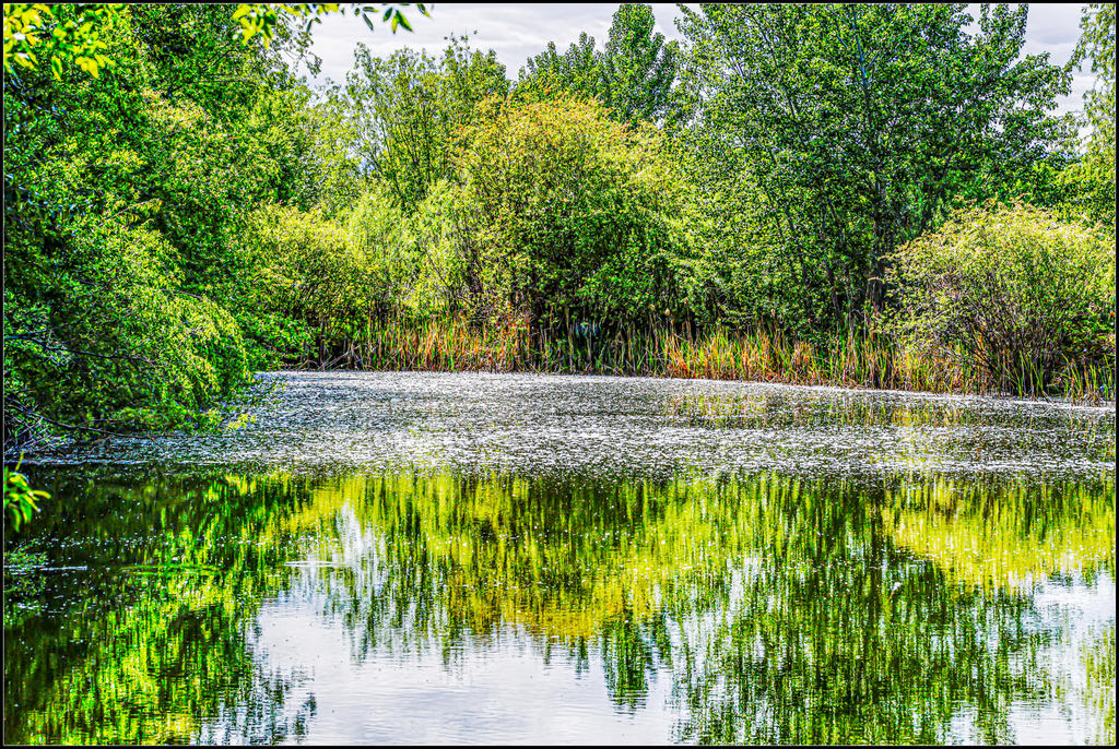 610_0407-HDR-Edit.jpg
