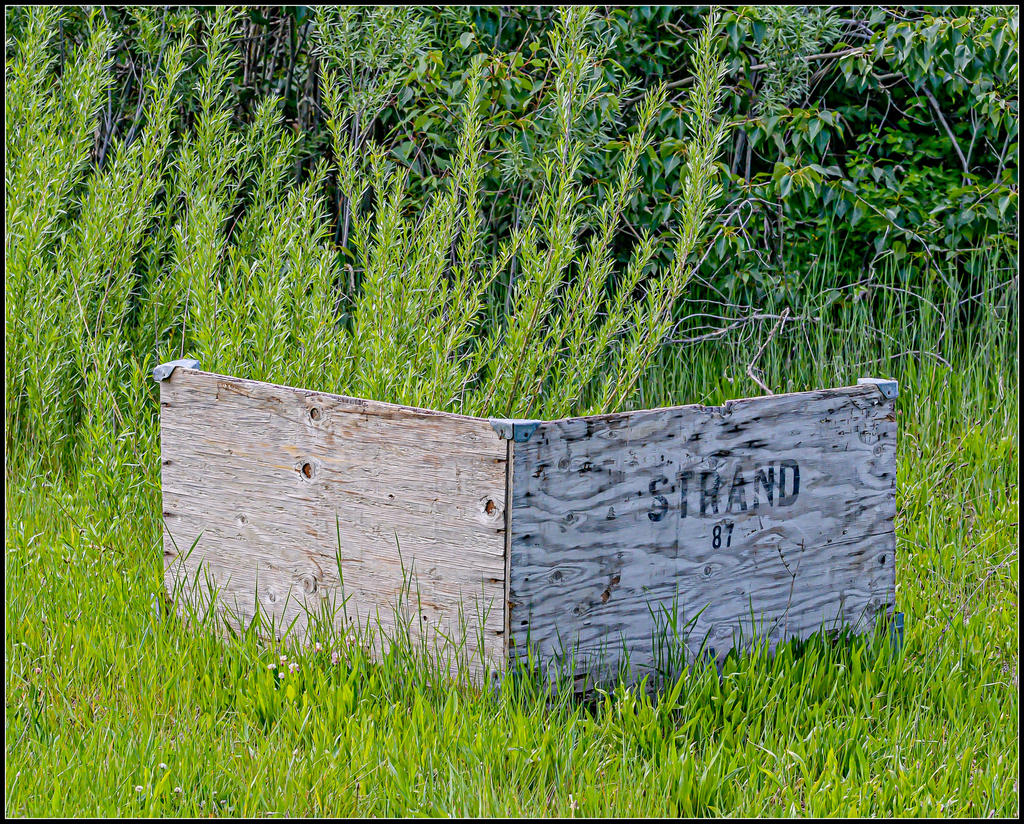610_0477-Edit.jpg