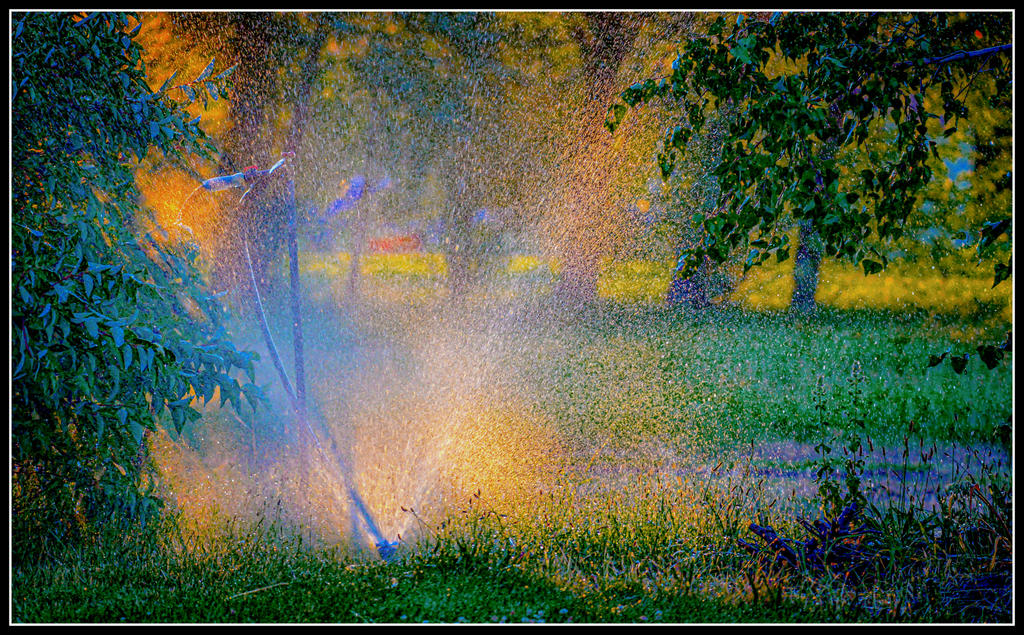 610_1324-Edit.jpg