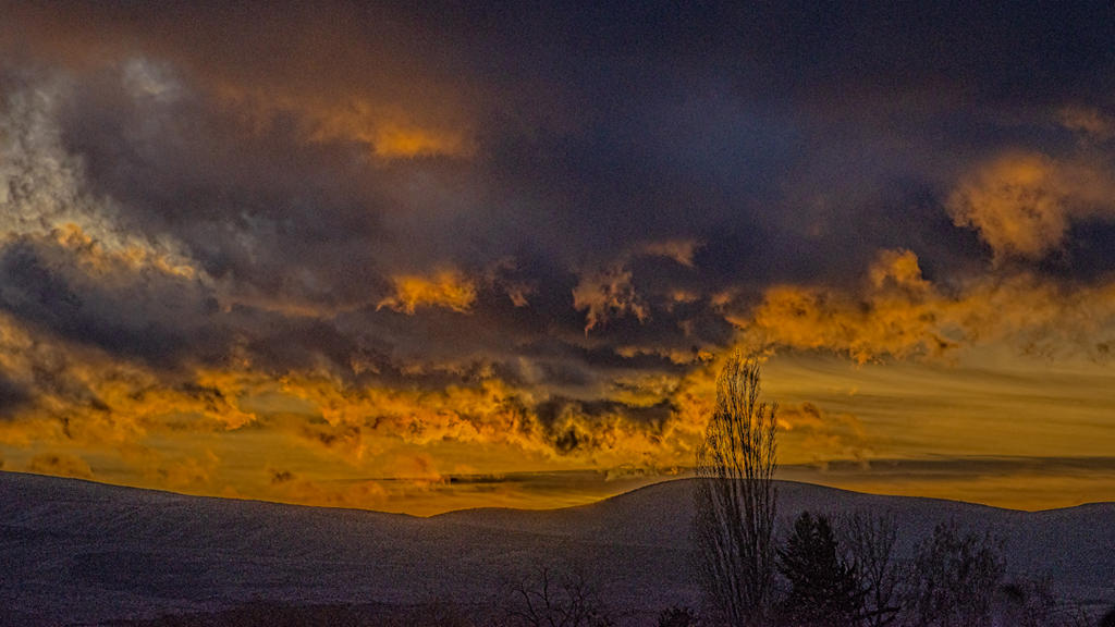 610_3788-Edit-Edit.jpg