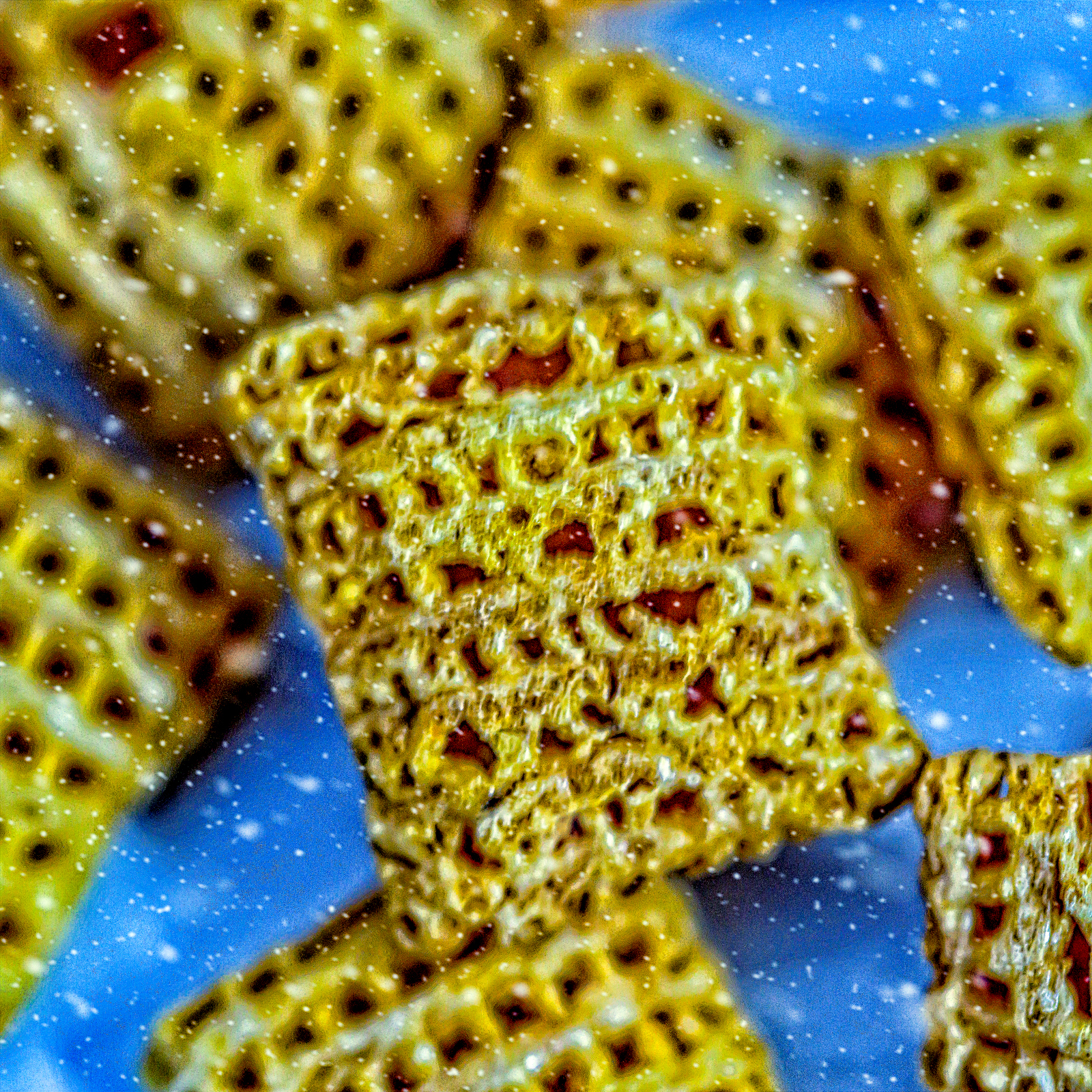 610_4860-Enhanced-Edit.JPG