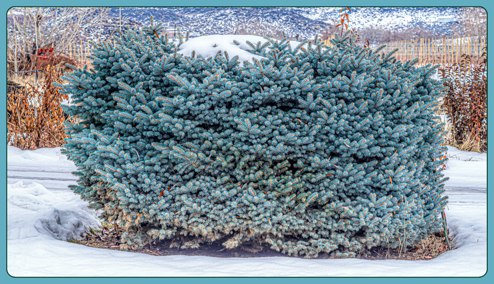 610_4887-Edit.JPG