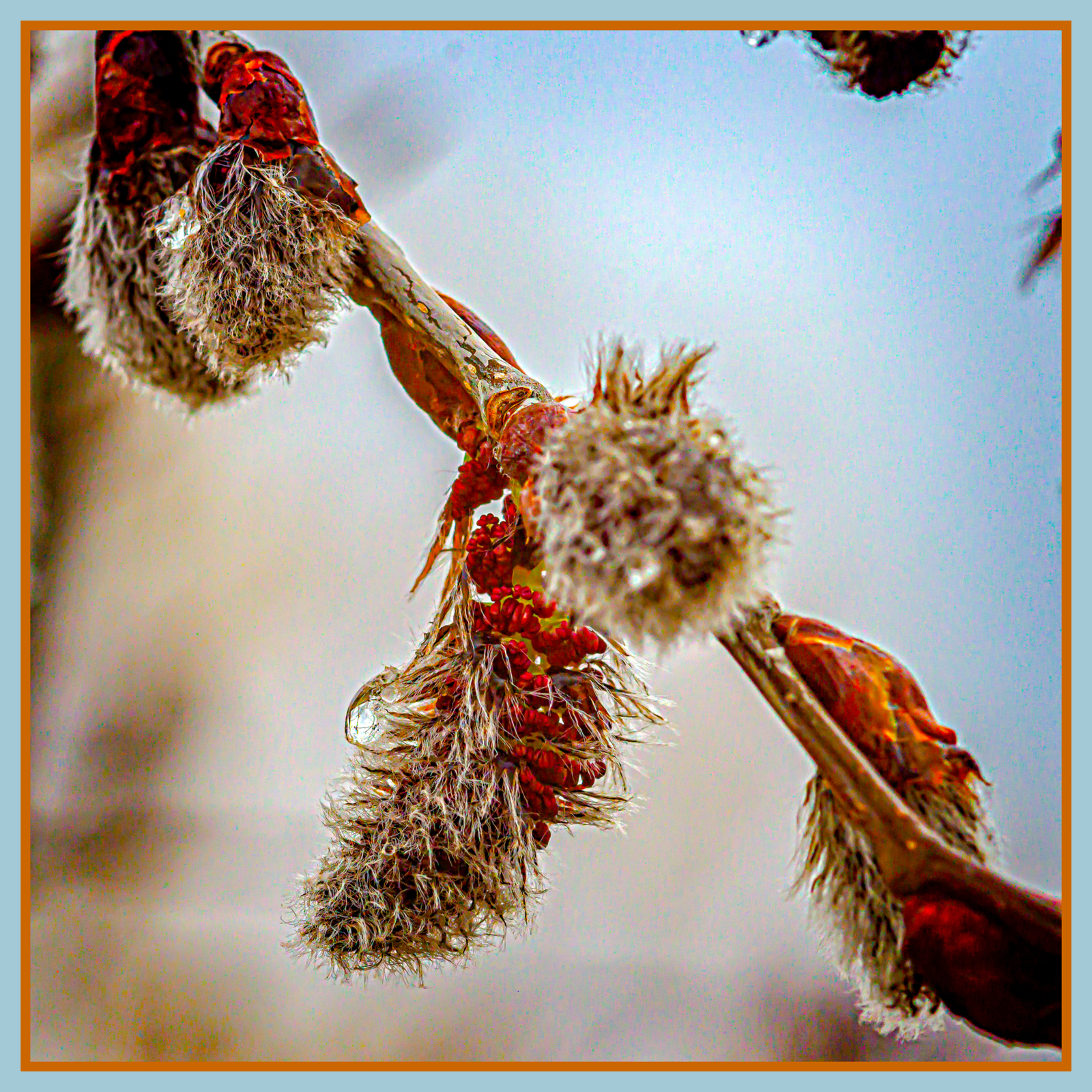 610_4933-Enhanced-Edit.JPG