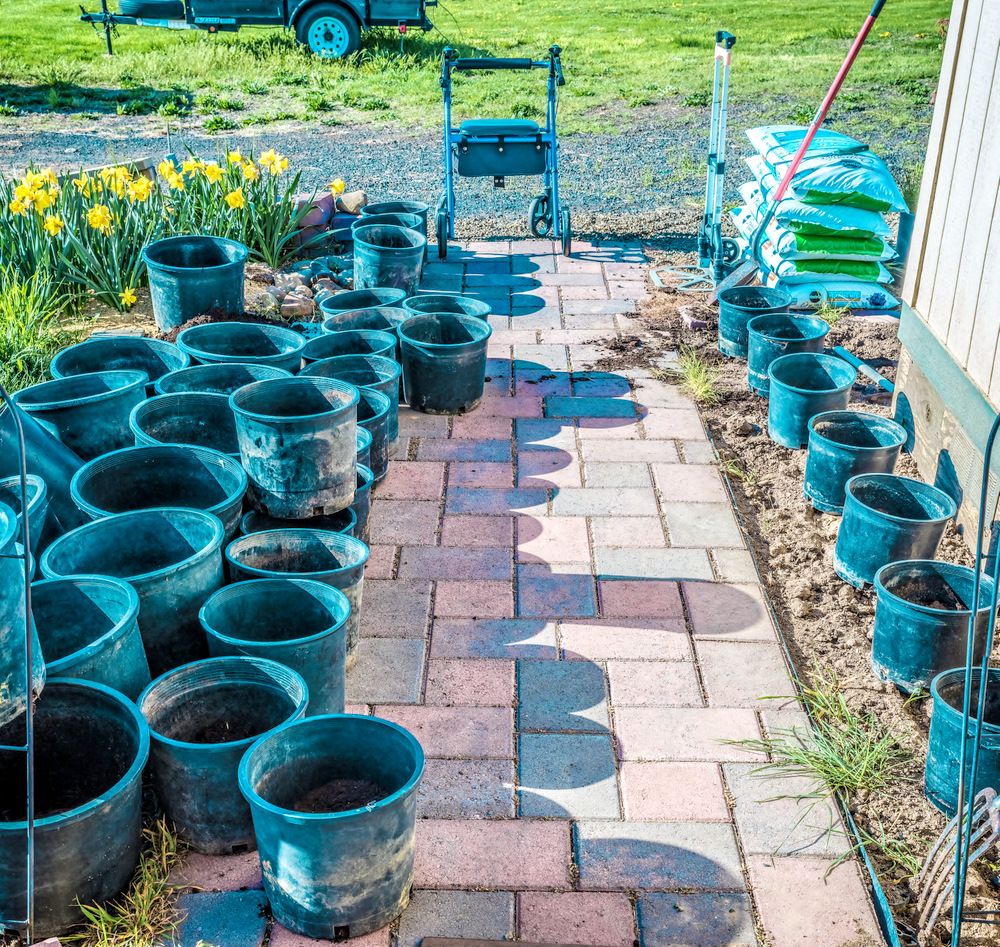 610_4989-Pano-Edit-001.jpg