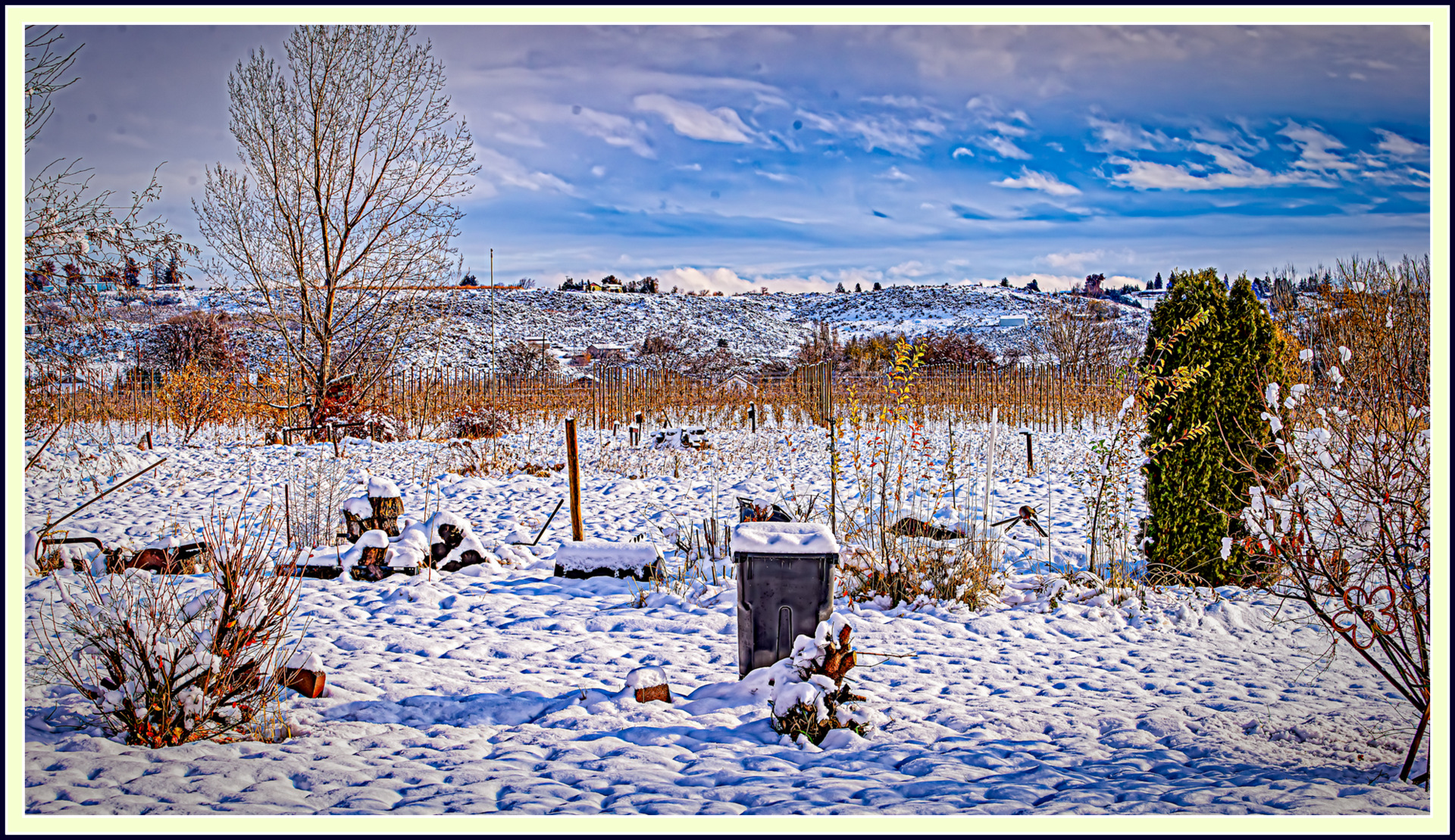 610_5597-Enhanced-NR-Edit.jpg