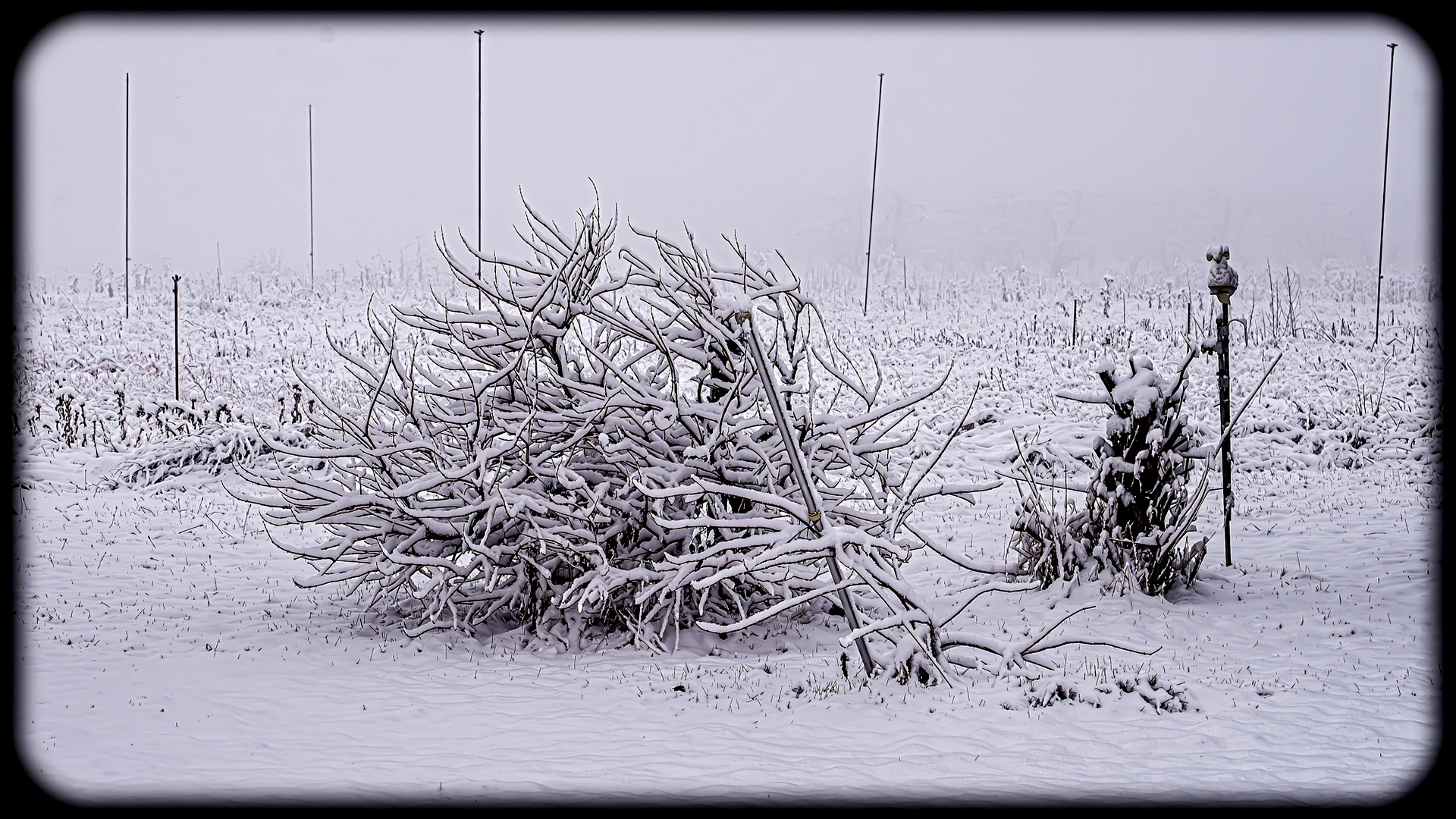 610_5717-Enhanced-NR-Edit.jpg