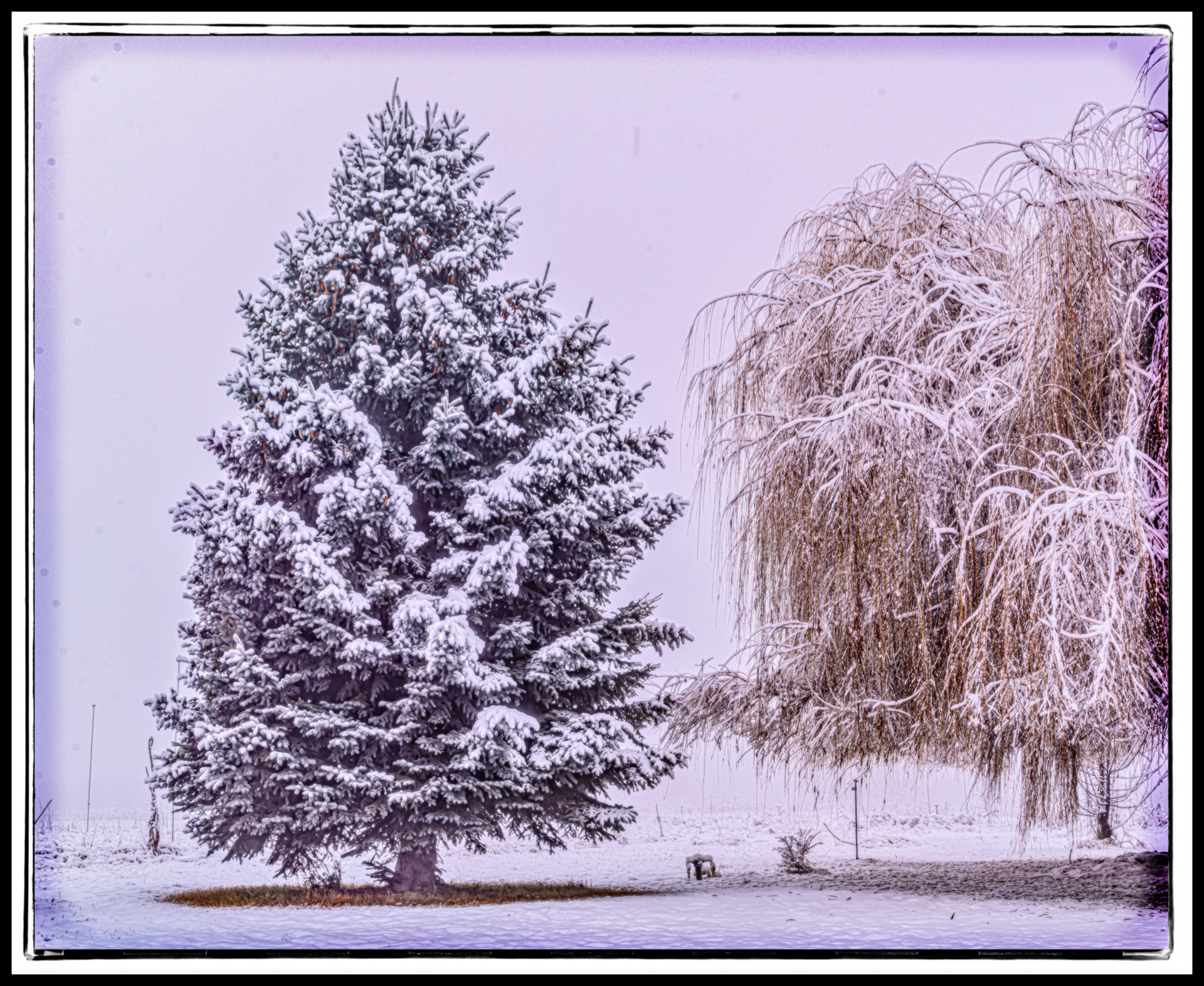 610_5718-Pano-Edit-Edit-Edit.jpg