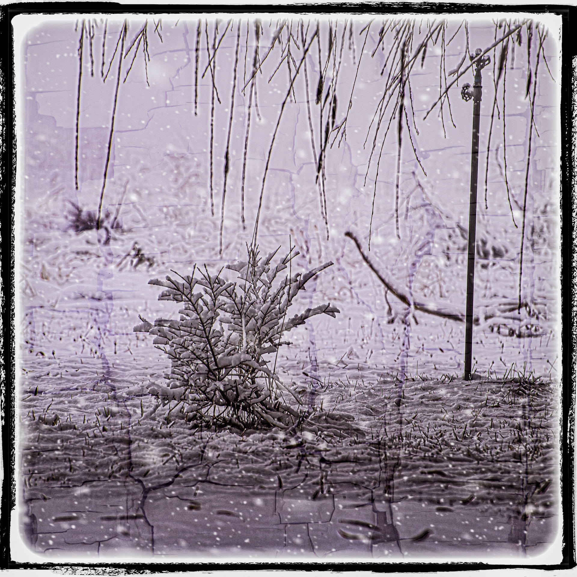 610_5760-Enhanced-NR-Edit-Edit.jpg