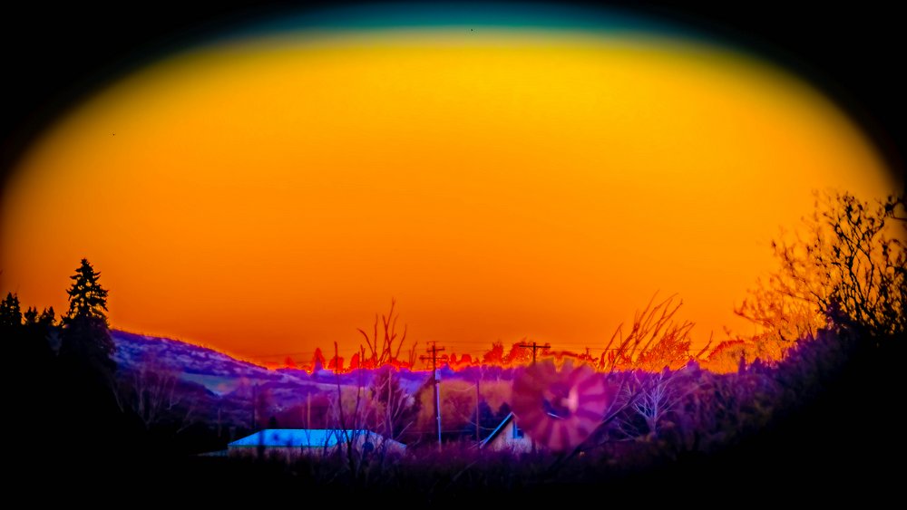 610_6331-Edit-Edit.jpg