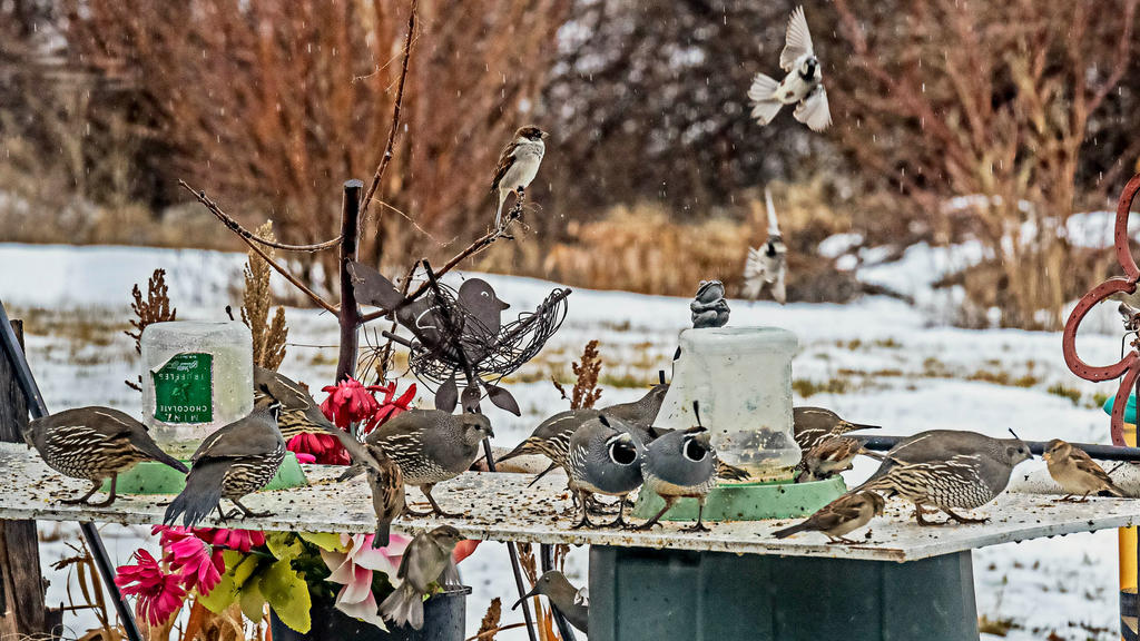 610_6470-Edit.jpg