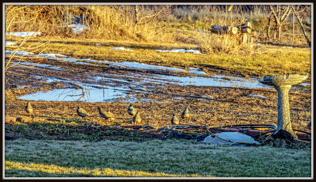 610_6500-Edit.jpg