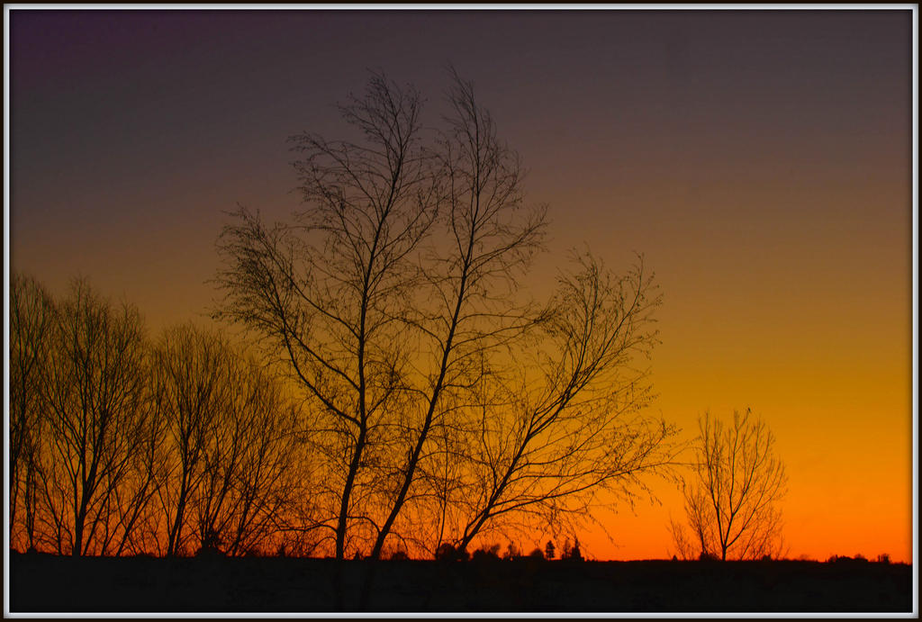 610_6767-Edit.jpg