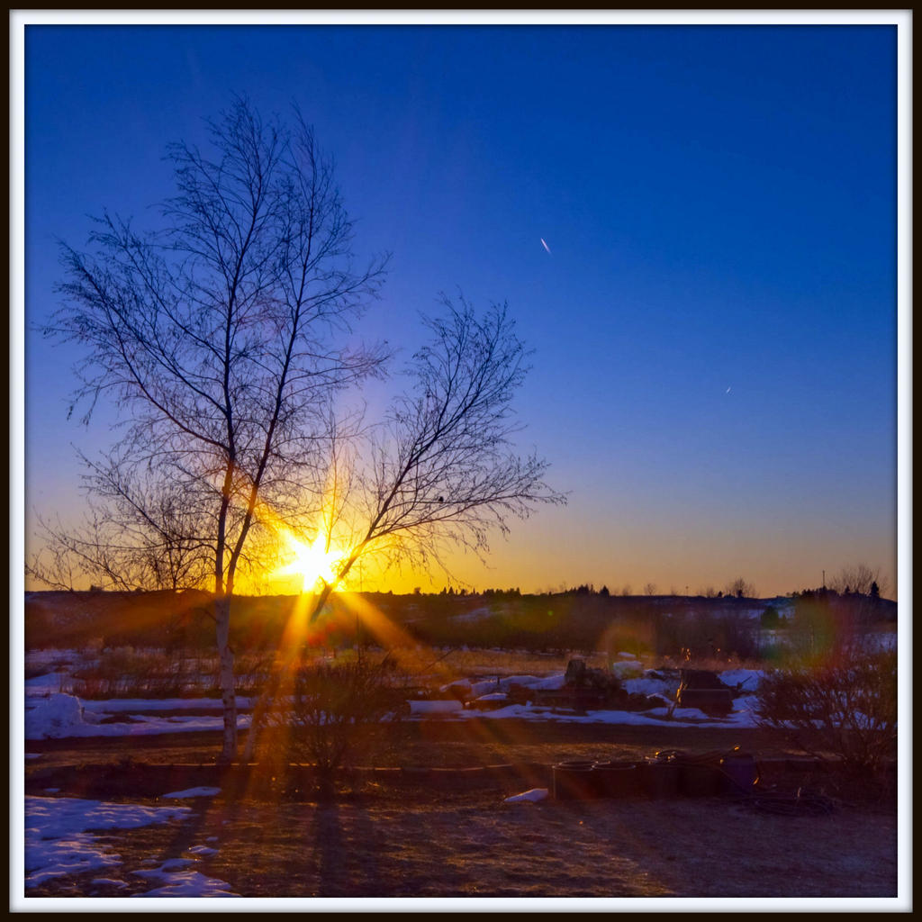 610_6868-HDR.jpg