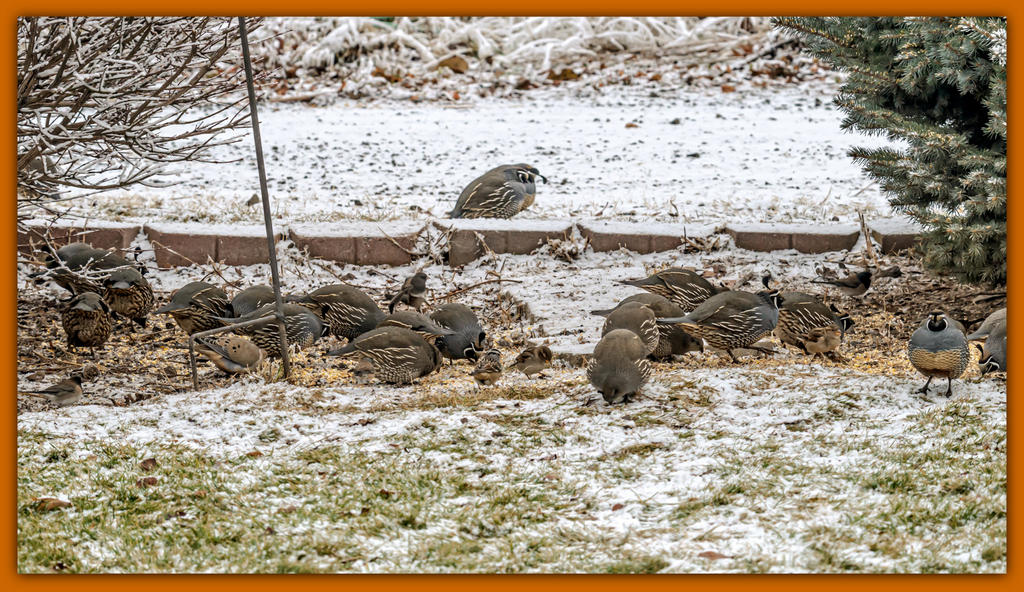 610_7974-Edit.jpg