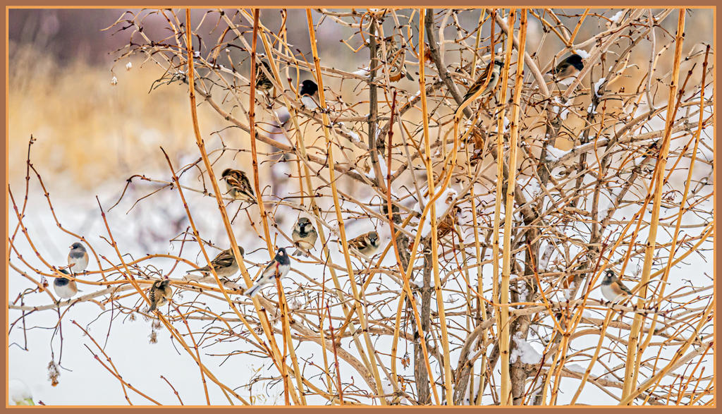 610_8298-Edit.jpg