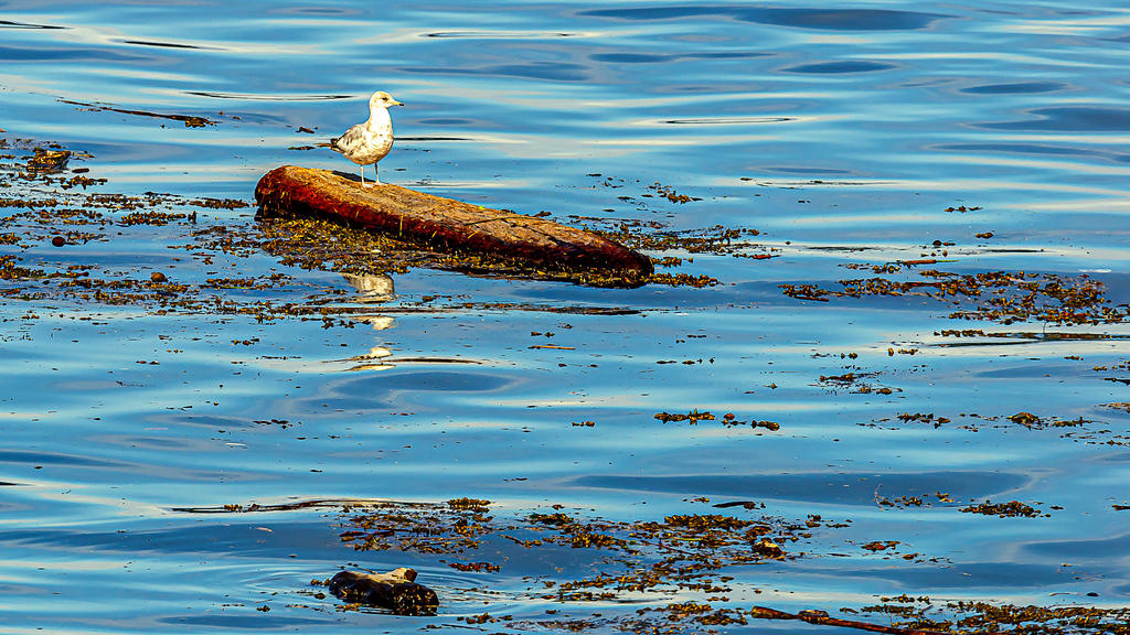 610_8614-Enhanced.jpg