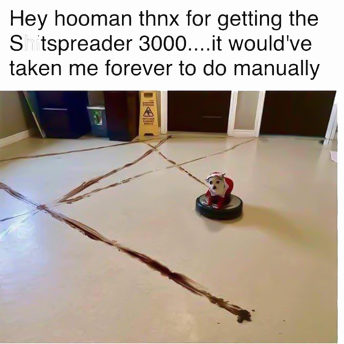 65318897_2310862205665586_3125197970425774080_n.jpg