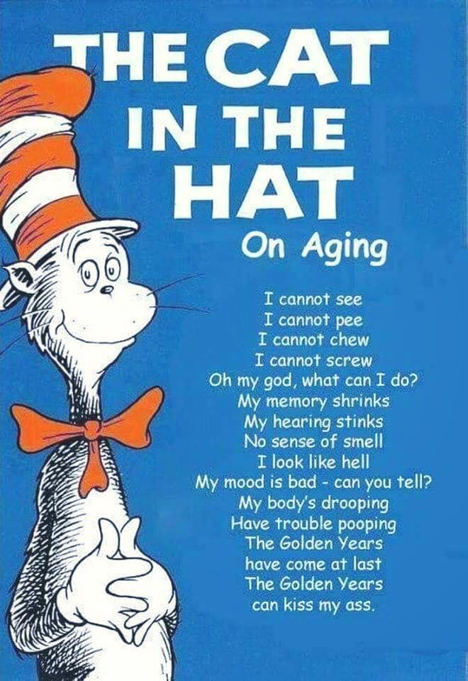65770878_10206208637130113_700957302865264640_n.jpg