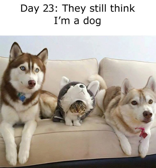 67340492_2139664919659277_3189135722632183808_n.jpg