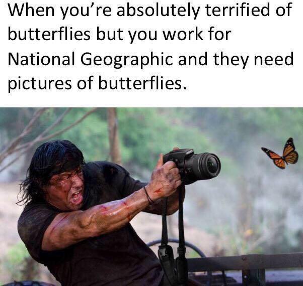 69565352_2436156649808018_4758448882042535936_n.jpg