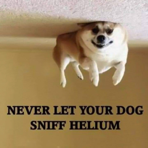 69949391_2167118916913877_313544105940484096_n.jpg