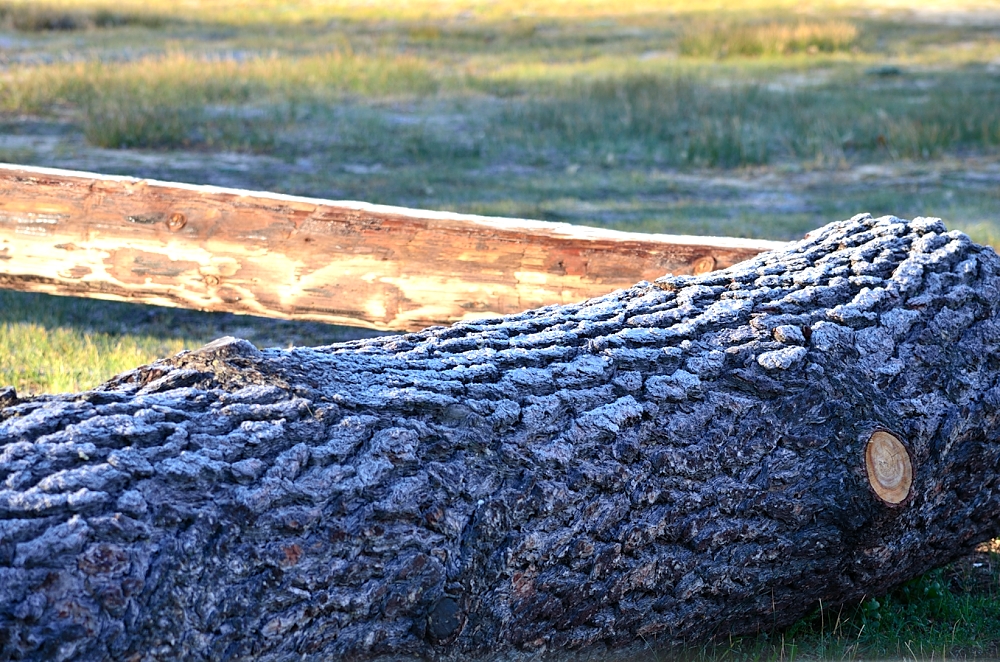 6th Apr 2014 001.JPG