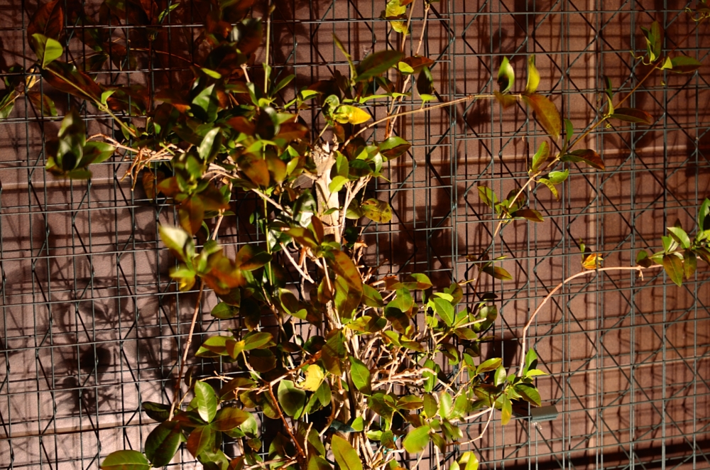 6th Mar 2014 019.JPG