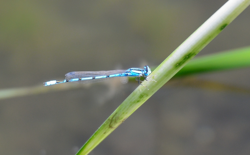 6th Sept 2015 008.JPG