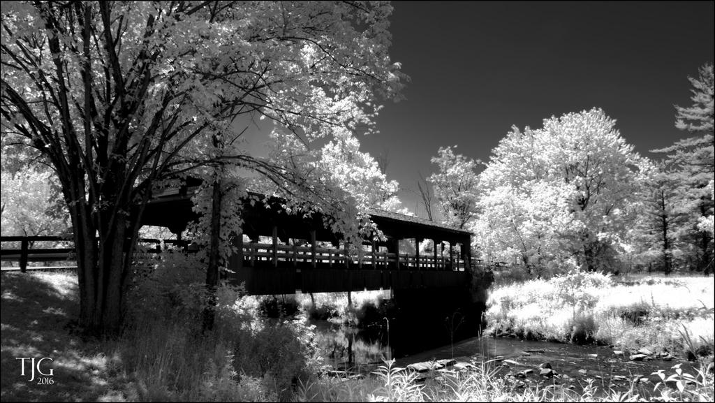 7-10-16 WinkLiz IR   3BWsm.jpg