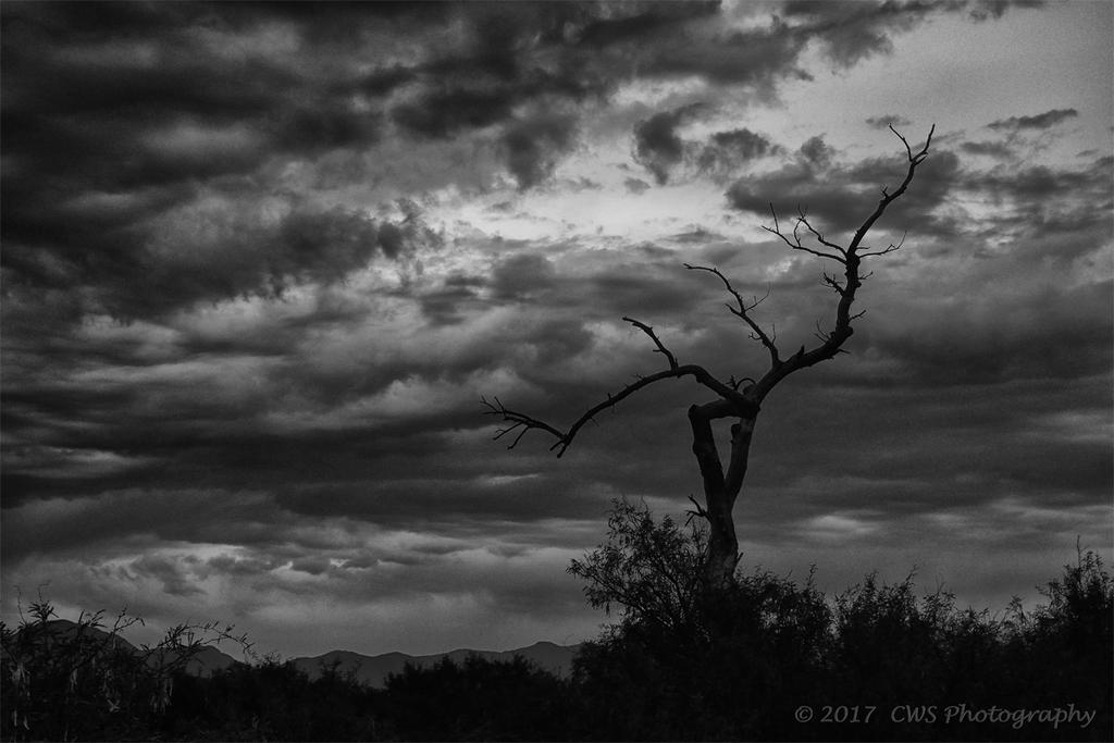 7-13-17-cr-BW_DSC_5700.jpg
