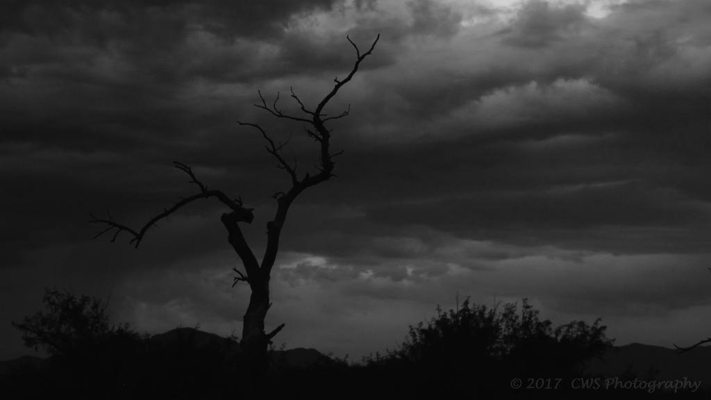 7-13-17-cr-BW_DSC_5703.jpg