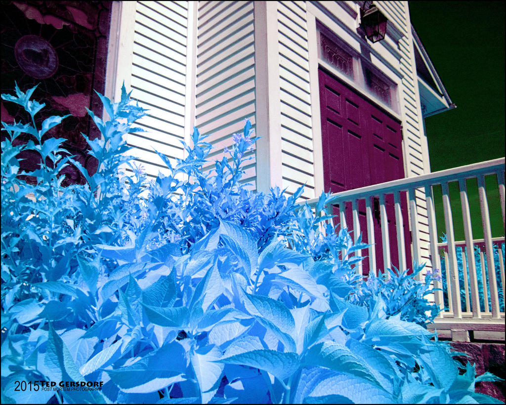 7-16-15 OlmHistorical  IR  17.jpg