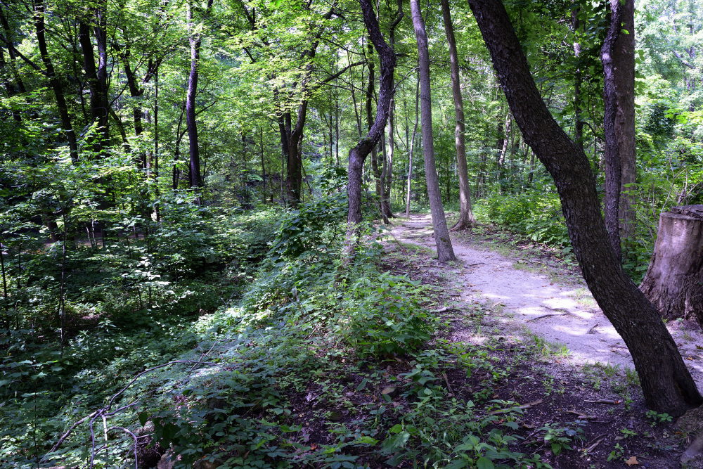 7-26-17 Tinkers Creek-1-16_5012CMA  1-11-17.JPG