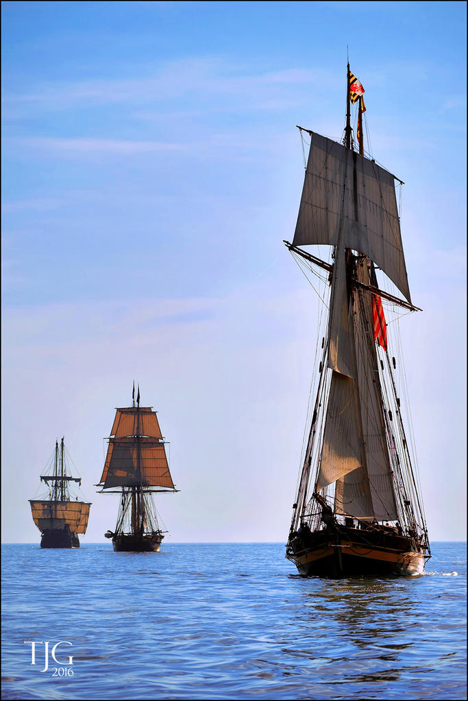 7-7-16 Tall Ships   28sm.jpg
