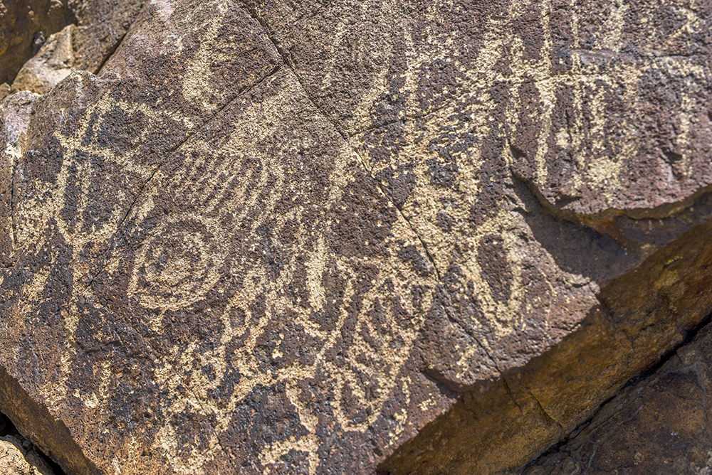 7 - Desert Excursion of May 2015.jpg