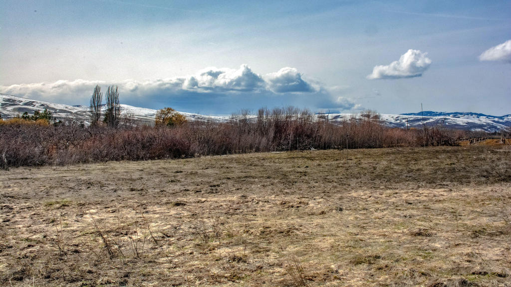 710_0010-Edit.jpg