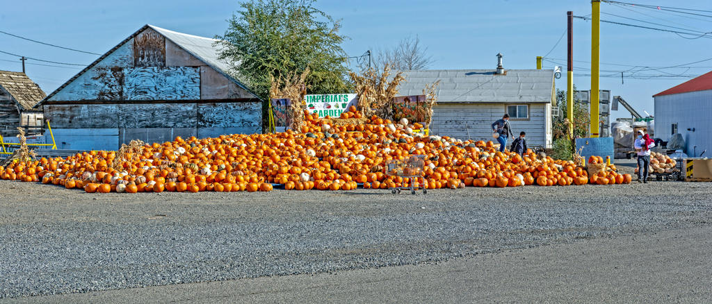 710_0102-Pano-Edit.jpg