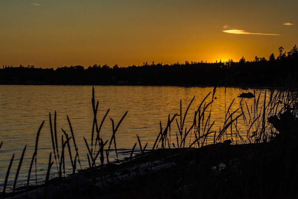 710_0373 (1000x667).jpg