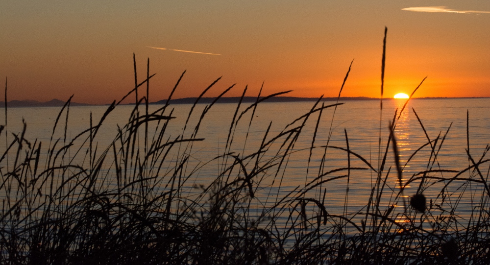 710_0386 (1000x541).jpg