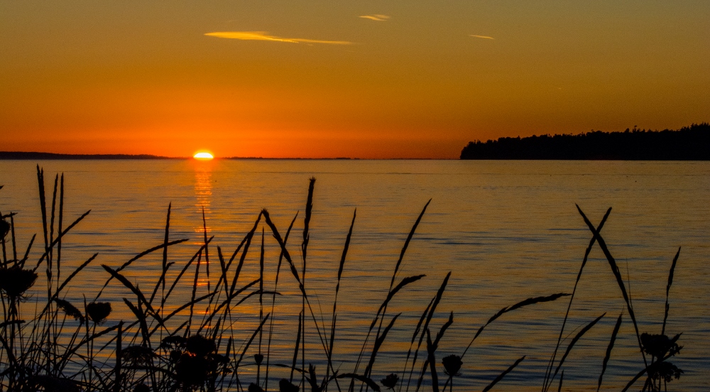 710_0398 (1000x552).jpg