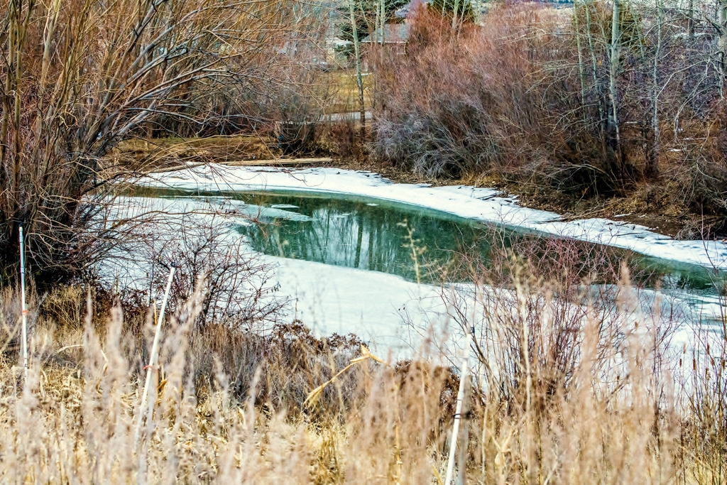 710_0421.jpg